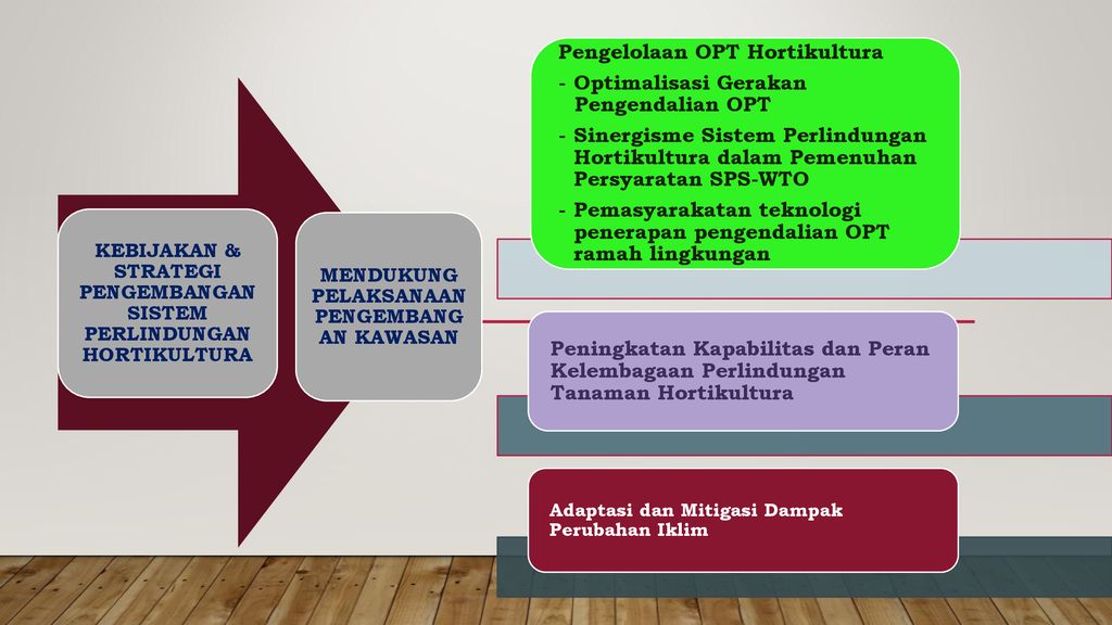 Direktur Perlindungan Hortikultura Direktorat Jenderal Hortikultura